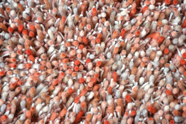 Brink & Campman Young 061802  8719956818547