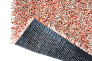 Brink & Campman Young 061802  8719956818547