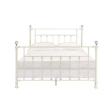 Comet Transitional Bed White Finish BD00134Q-ACME