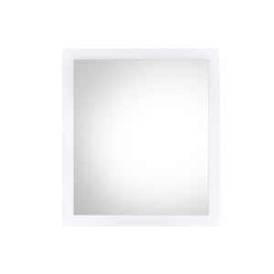 Perse Transitional Mirror  BD00550-ACME