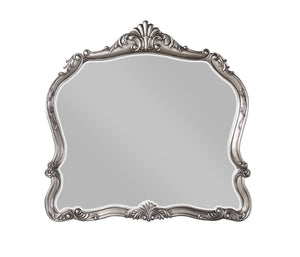 Ariadne Transitional Mirror  BD00605-ACME