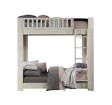 Cedro Transitional T/T Bunk Bed  BD00612-ACME