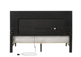 Casilda Contemporary Bed with LED  BD00644Q-ACME