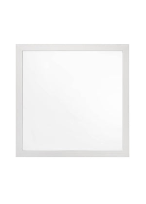 Casilda Contemporary Mirror  BD00646-ACME