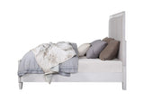 Katia Transitional Bed  BD00658CK-ACME