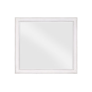 Katia Transitional Mirror  BD00662-ACME