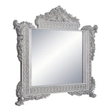 Valkyrie Transitional Mirror  BD00685-ACME