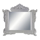 Valkyrie Transitional Mirror  BD00685-ACME