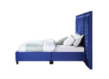 Damazy Contemporary Bed  BD00973Q-ACME