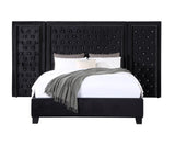 Damazy Contemporary Bed  BD00975Q-ACME