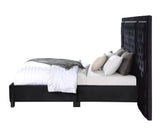 Damazy Contemporary Bed  BD00975Q-ACME