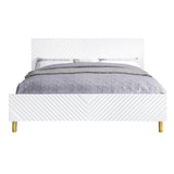 Gaines Contemporary Bed  BD01034Q-ACME