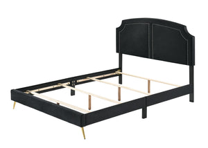 Zeena Contemporary Bed Black Velvet(#KK5J086-80) BD01176Q-ACME