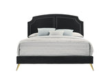 Zeena Contemporary Bed Black Velvet(#KK5J086-80) BD01176Q-ACME