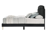 Zeena Contemporary Bed Black Velvet(#KK5J086-80) BD01176Q-ACME