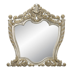 Danae Transitional Mirror  BD01236-ACME