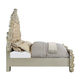 Sorina Transitional King Bed  BD01241EK-ACME