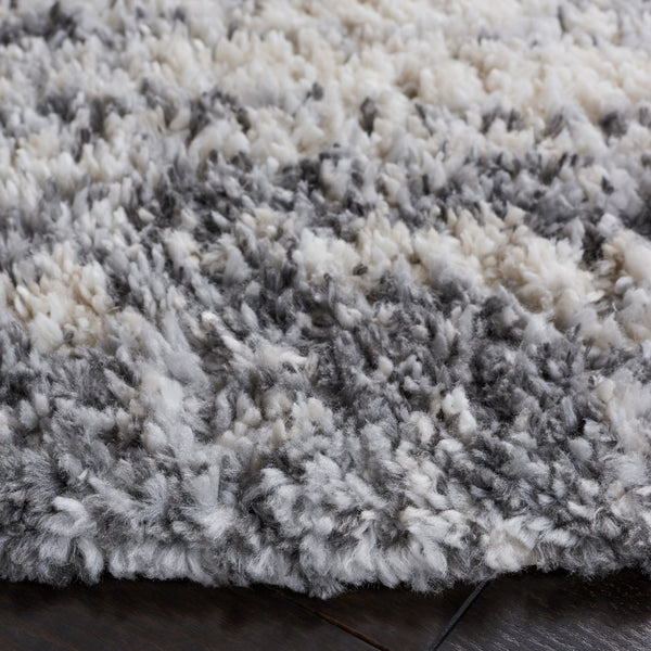 Safavieh Berber Shag 416 Power Loomed Polypropylene Pile Shag & Flokati Rug BER416F-9