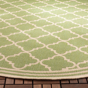 Safavieh Beach House 121 PowerLoomed 100% Polypropylene Pile Indoor/ Outdoor Rug BHS121X-6