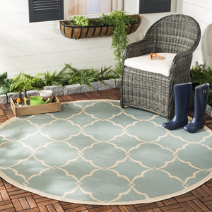 Safavieh Beach House 125 POWER LOOMED POLYPROPYLENE Indoor/ Outdoor Rug BHS125K-26