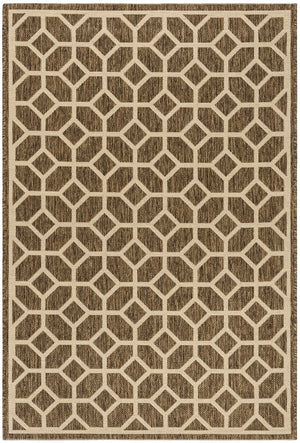 Safavieh Beach House 127 PowerLoomed 100% Polypropylene Pile Indoor/ Outdoor Rug BHS127D-5
