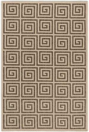Safavieh Beach House 129 PowerLoomed 100% Polypropylene Pile Indoor/ Outdoor Rug BHS129D-6R
