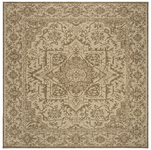 Safavieh Beach House 139 POWER LOOMED POLYPROPYLENE Indoor/ Outdoor Rug BHS139C-8SQ