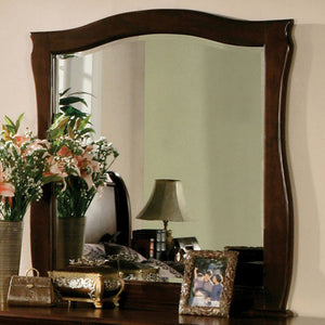 Benzara Esperia Dark Walnut Transitional Style Mirror BM123546 Dark Walnut Wood Glass BM123546