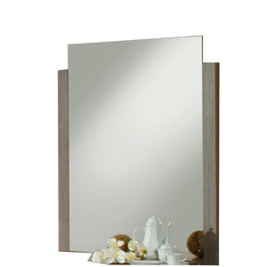 Benzara Vertically Wooden Framed Mirror In Contemporary Style, Gray BM187428 Gray Mirror Wood BM187428