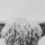 Benzara Wood and Canvas Highland Cow Wall Art, Black and White BM207178 Black and White Wood and Canvas BM207178