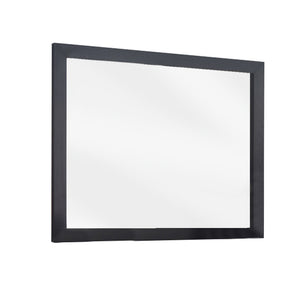 Benzara Transitional Style Rectangular Mirror with Wooden Frame, Black and Silver BM210180 Black and Silver MDF, Solid Wood, Mirror BM210180