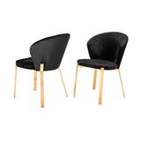 Velvet Curved Back Dining Chair with Metal Legs, Set of 2, Black and Gold