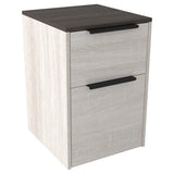 Two Tone Wooden File Cabinet with 2 File Drawers, Antique White and Gray