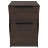 Benzara Two Tone Wooden File Cabinet with 2 File Drawers, Dark Brown BM213336 Brown Engineered Wood BM213336