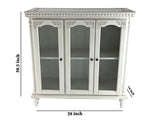 Benzara Traditional Wood and Glass Accent Cabinet with Carved Details, White BM213464 White Wood BM213464