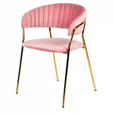 Fabric Upholstered Dining Chair with Metal Legs, Set of 2, Pink and Gold