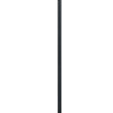 Benzara 80 Watt Metal Floor Lamp with Dual Gooseneck and Uno Style Shades, Black BM220842 Black Metal BM220842