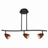 Benzara 3 Light 120V Metal Track Light Fixture with Glass Shade, Black and Brown BM223053 Black, Brown Metal, Glass BM223053