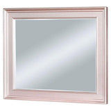 64 Inch Contemporary Style Wooden Frame Mirror, Rose Pink