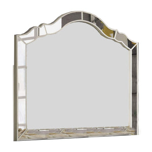 Benzara Mirror with Intricately Divided Panels, Silver BM253006 Silver Mirror, Resin, Solid Wood BM253006