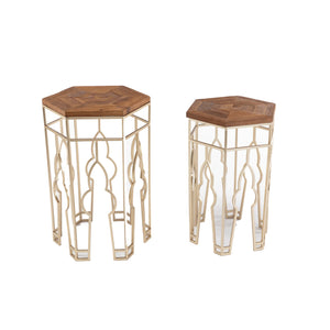 Benzara Nesting Side Table with Hexagonal Top, Set of 2, Brown and Gold BM261504 Brown and Gold Solid Wood and Metal BM261504