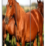 Benzara 3 Panel Foldable Wooden Screen with Horse Print, Brown BM26507 Brown Fabric, Wood BM26507