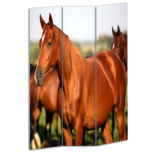 Benzara 3 Panel Foldable Wooden Screen with Horse Print, Brown BM26507 Brown Fabric, Wood BM26507