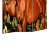 Benzara 3 Panel Foldable Wooden Screen with Horse Print, Brown BM26507 Brown Fabric, Wood BM26507