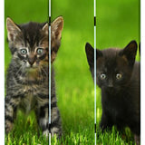 Benzara 3 Panel Foldable Wooden Screen with Kitten Print, Brown and Green BM26508 Brown and Green Fabric, Wood BM26508