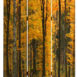 Benzara Foldable Canvas Screen with 3 Panel Autumn Forest Print, Multicolor BM26511 Multicolor Fabric, Wood BM26511