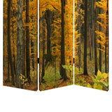 Benzara Foldable Canvas Screen with 3 Panel Autumn Forest Print, Multicolor BM26511 Multicolor Fabric, Wood BM26511