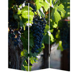 Benzara Grape Vine Print Foldable Canvas Screen with 3 Panels, Multicolor BM26549 Multicolor Fabric, Wood BM26549