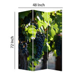 Benzara Grape Vine Print Foldable Canvas Screen with 3 Panels, Multicolor BM26549 Multicolor Fabric, Wood BM26549