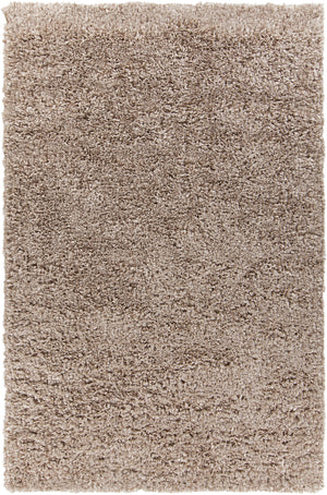 Chandra Rugs Bolero 100% Polyester Hand-Woven Contemporary Shag Rug Taupe 9' x 13'